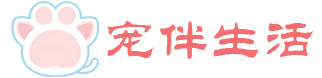 宠伴生活